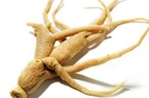 raiz de ginseng para melhorar a potência