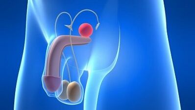 Lubrificação em homens durante a emoção o que é