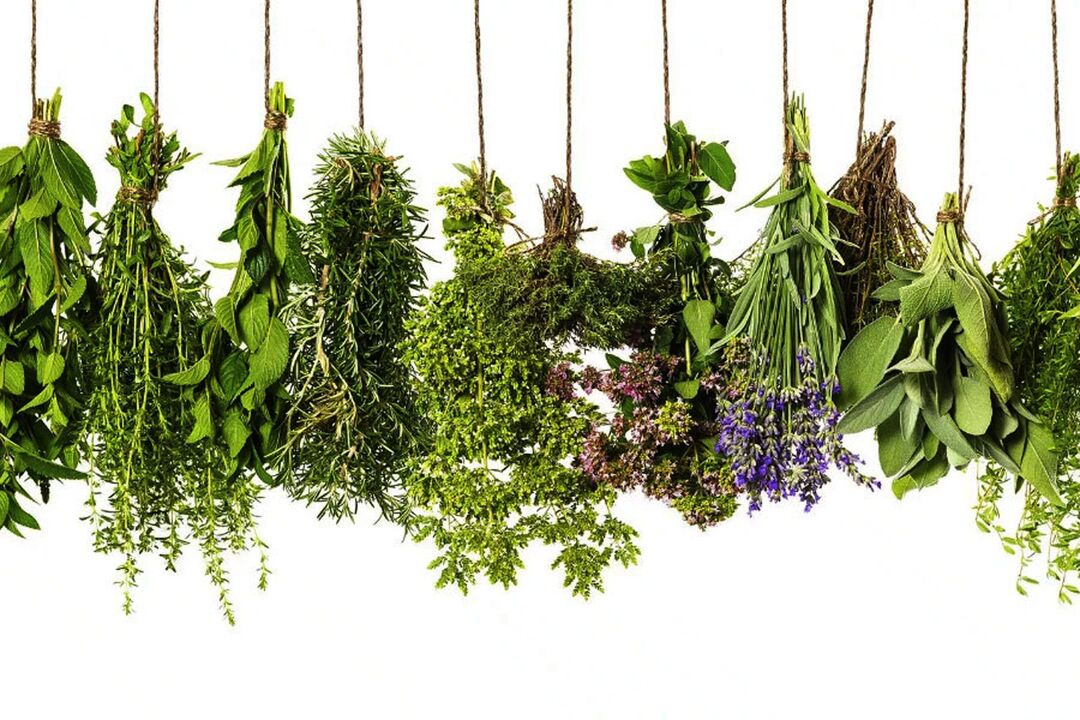 extrato de ervas tropicais em Eroboost